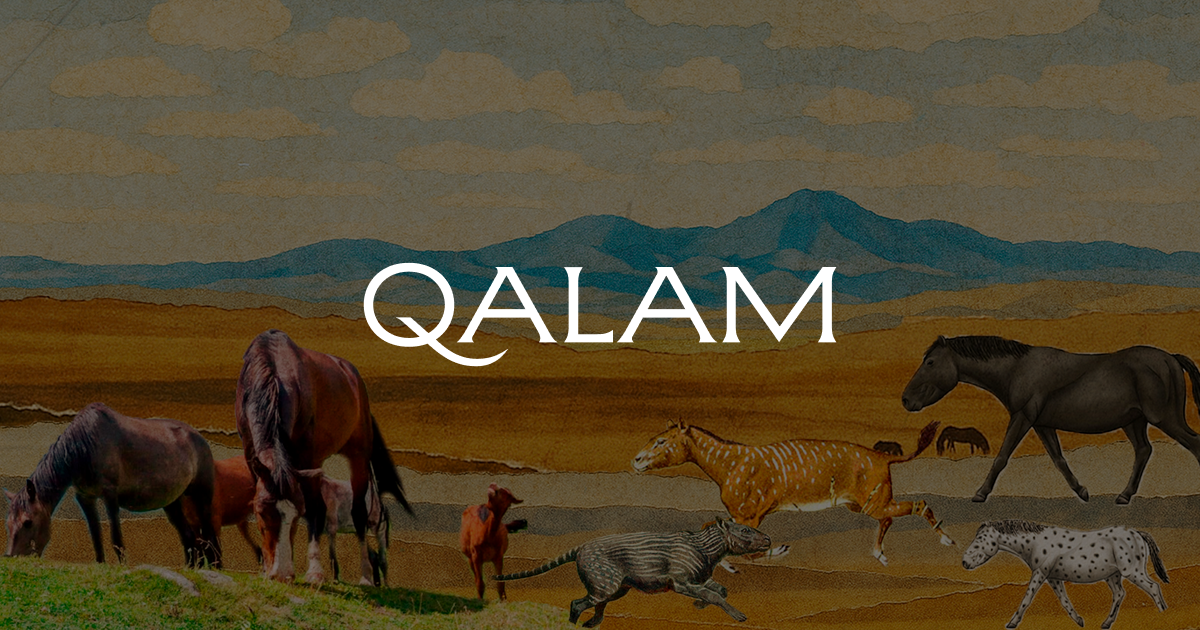 Анальды моншақтардың фотосы