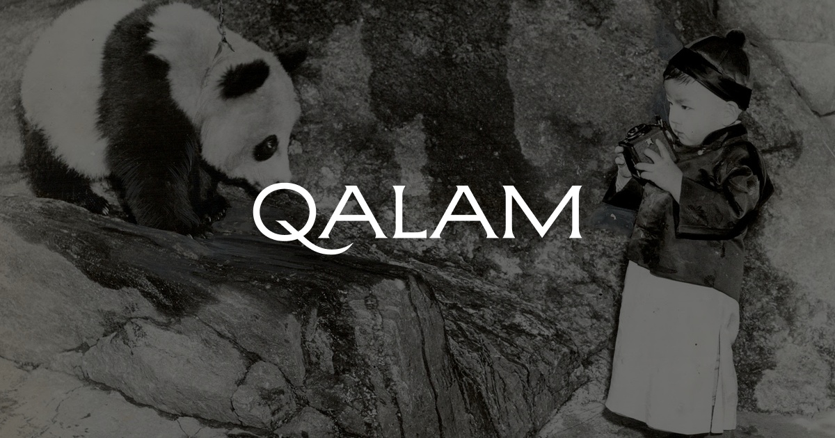 Жалаңаш семіз араб әйелдері Транссексуал оргазм алады